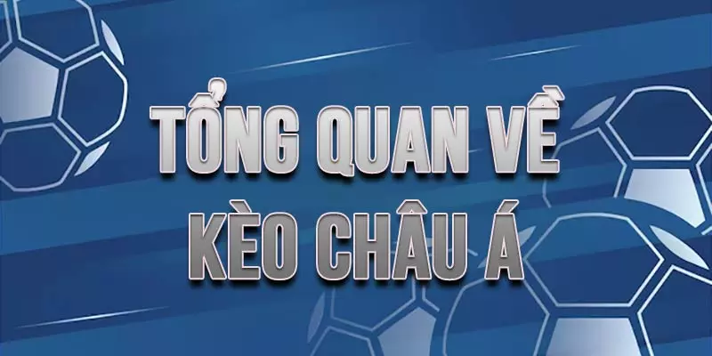 Cược châu Á mang lại cơ hội thu về lợi nhuận lớn Cược châu Á mang lại cơ hội thu về lợi nhuận lớn