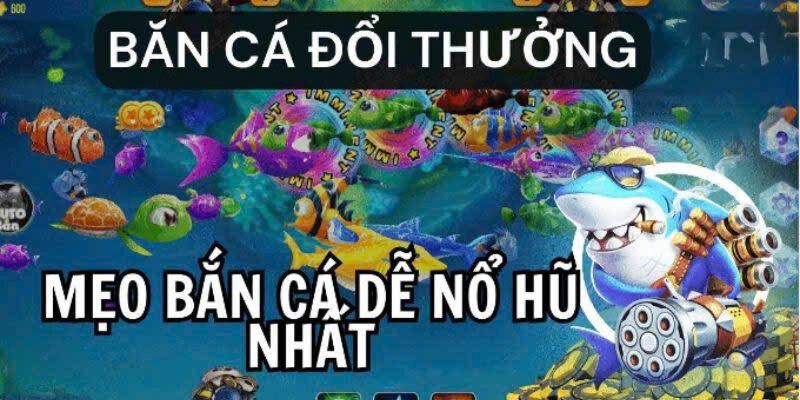 Khuấy động biển cả bằng những tips chơi cực đã