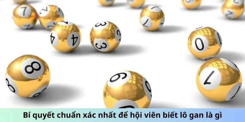 Bí quyết chuẩn xác nhất để hội viên biết lô gan là gì Bí quyết chuẩn xác nhất để hội viên biết lô gan là gì