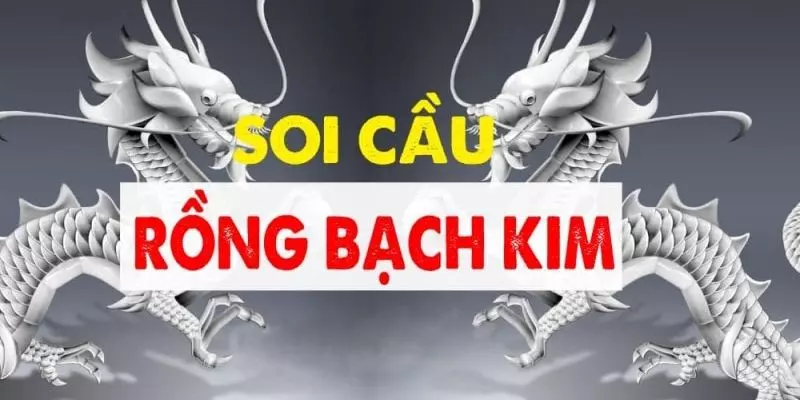 Cách thức soi cau Rồng bạch kim là gì?