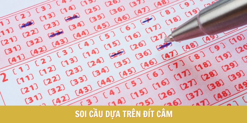 Soi cầu xổ số đít câm